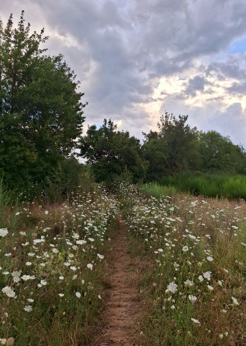 _

Along 
         my 
             evening 
                          walk   

@consertum 
<a href="/ThepaleUsher/">David Reader 📚🐳</a>