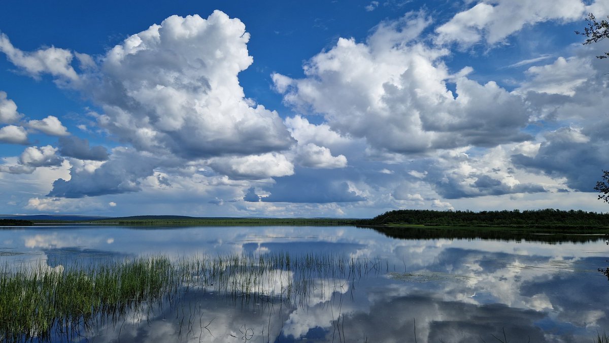 NilsAJohnsen's tweet photo. Arctic summer #Palojärvi #arcticsummer https://t.co/SfcYkg7BKu