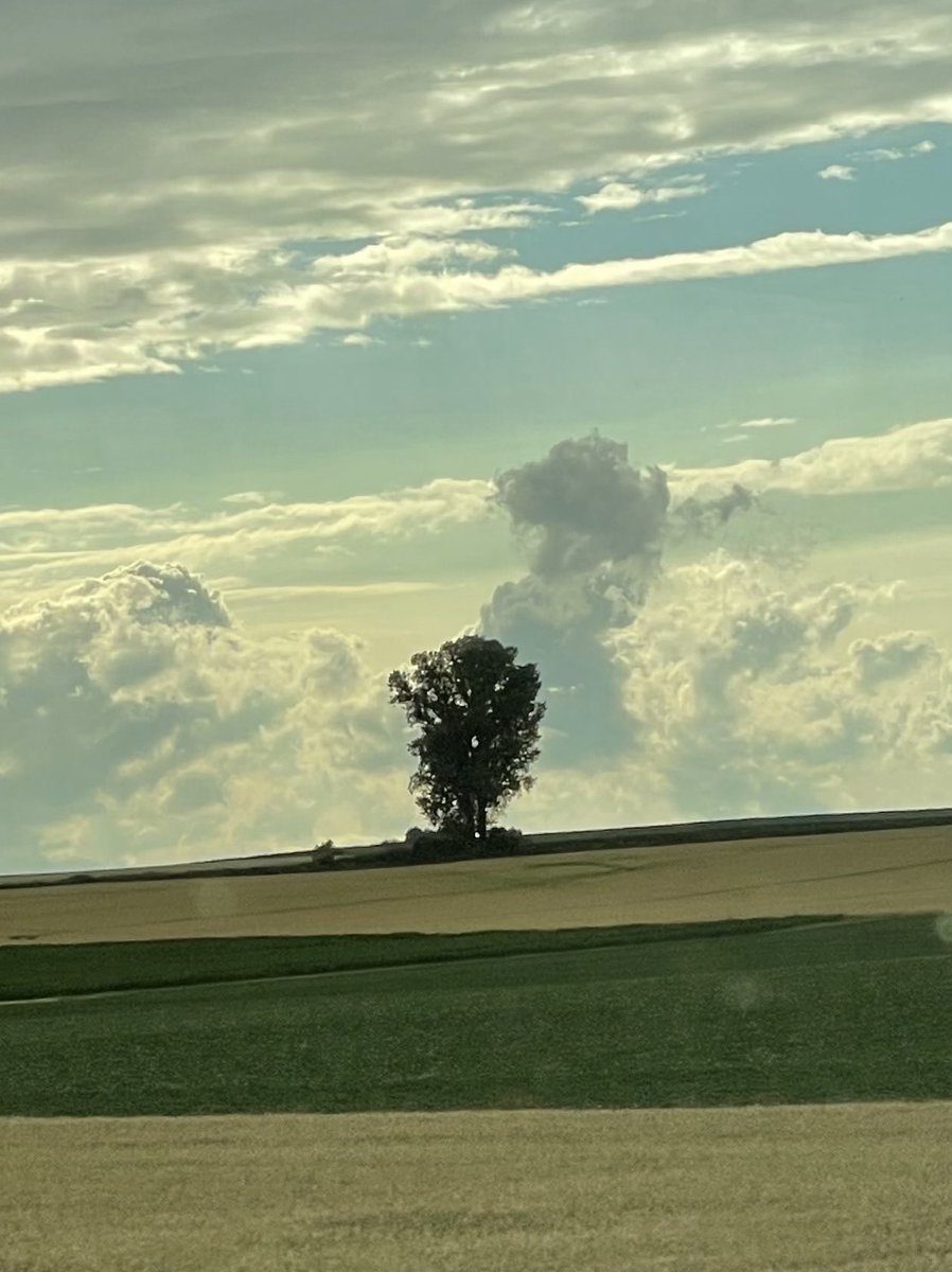 Einsamkeit ist der Weg, auf dem das Schicksal den Menschen zu sich selber führen will.

- Hermann Hesse