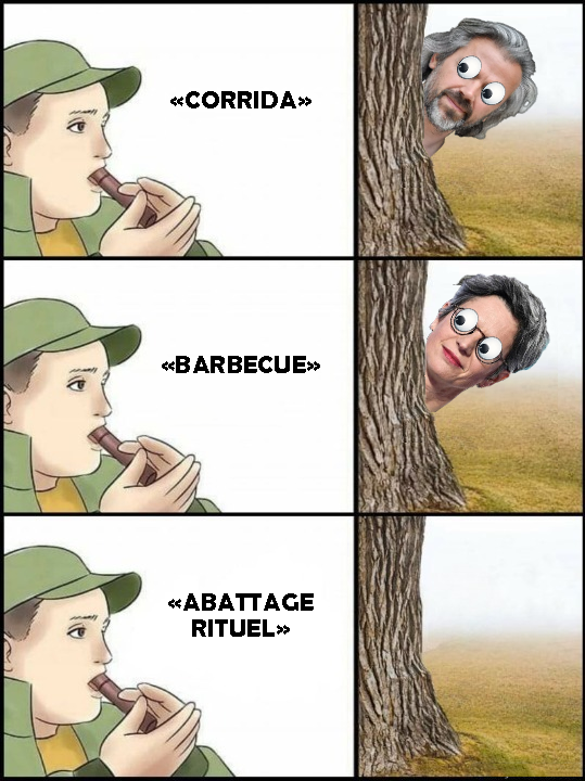 RИG (@hareinegi) on Twitter photo 