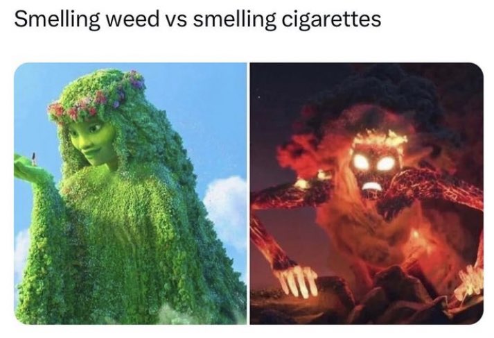 high and laughable memes (@weedmem3s) on Twitter photo 