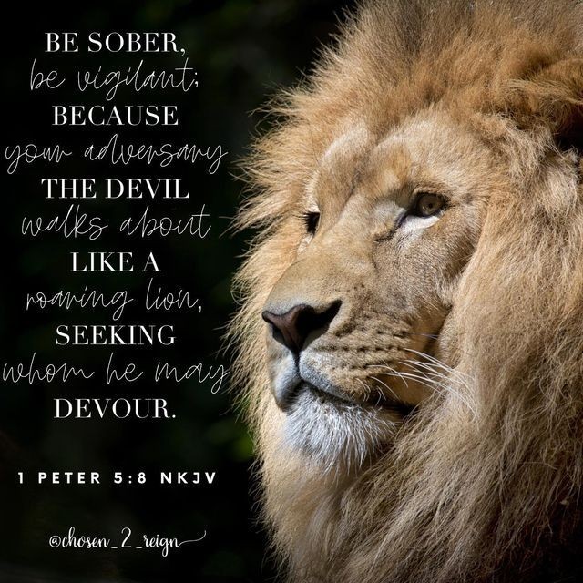 ministerricky1's tweet photo. Almighty God please #StandAndGoWithUs as #WeFollowYou
#FightForUsAccordingToYourWord
#DeliverUs from the lions' mouths as #YouDidForDaniel
When the enemy roars #MakeYourWordAndSpiritRoarLouder
#BreakEnemyTeeth #ShutEmUp
In #JesusChrist's All-Powerful Name
TY
#EuropaAfricaUS https://t.co/dp0O794xPu