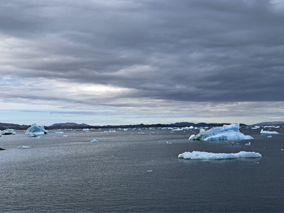 Dr. Sandra Maier tweet media