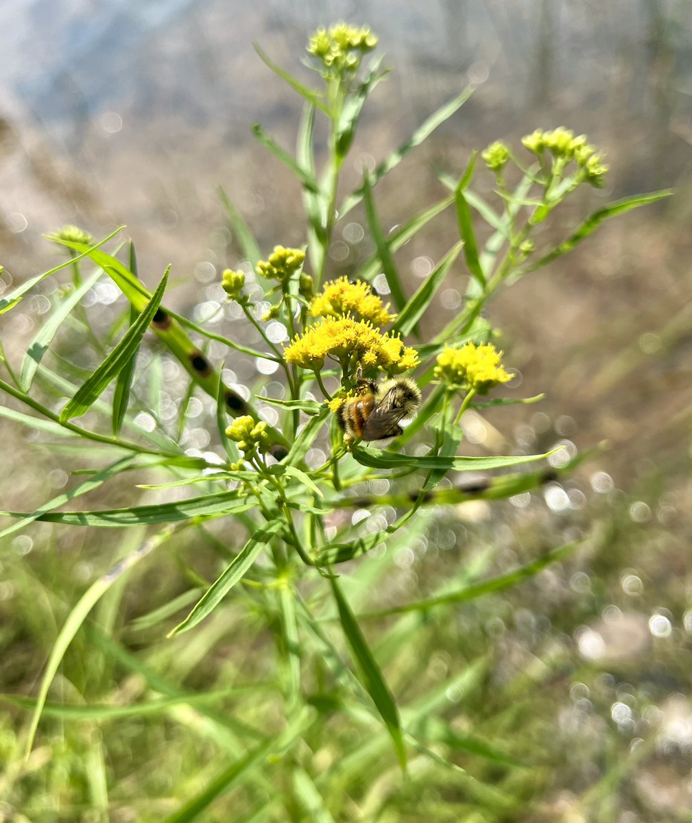 Curious … What words come to mind when you think of “meditation?” What feelings arise?