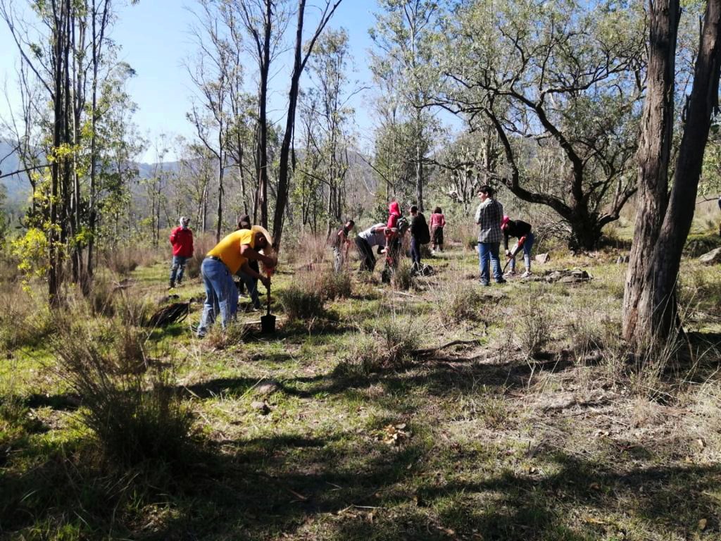 AmbienteEdomex's tweet photo. Las reforestaciones contribuyen a mejorar la calidad del suelo, infiltración de agua y captura de contaminantes, por ello, la #CGCE de la #SMAGEM y voluntarios de la #CasaDeLaMujer de #Coacalco llevan a cabo una jornada de #Reforestación2023 en el #ParqueEstatalSierraDeGuadalupe. https://t.co/tuCfqNWYvd