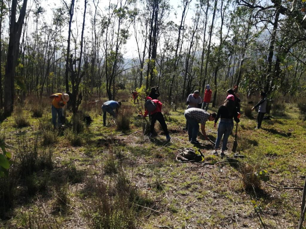 AmbienteEdomex's tweet photo. Las reforestaciones contribuyen a mejorar la calidad del suelo, infiltración de agua y captura de contaminantes, por ello, la #CGCE de la #SMAGEM y voluntarios de la #CasaDeLaMujer de #Coacalco llevan a cabo una jornada de #Reforestación2023 en el #ParqueEstatalSierraDeGuadalupe. https://t.co/tuCfqNWYvd