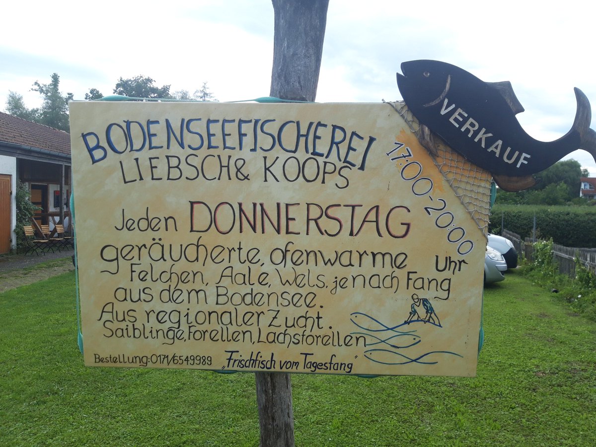 MJKnippenberg's tweet photo. Vanuit #Zwitserland reisde Knip via #Oostenrijk en de #Bodensee richting #Herbolzheim. Daarna via Col du Donon (Vogezen) richting #Luxemburg. Onderweg nog #Zeppelin Museum gezien. Prachtig onder andere #Hindenburg. https://t.co/bfzbvXsSdU