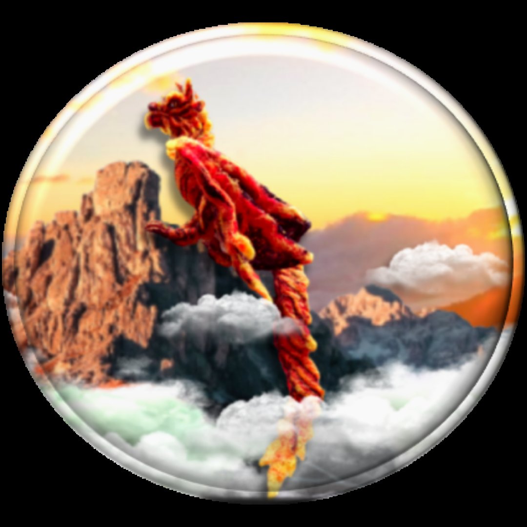 +Wild World of Dragons tweet media