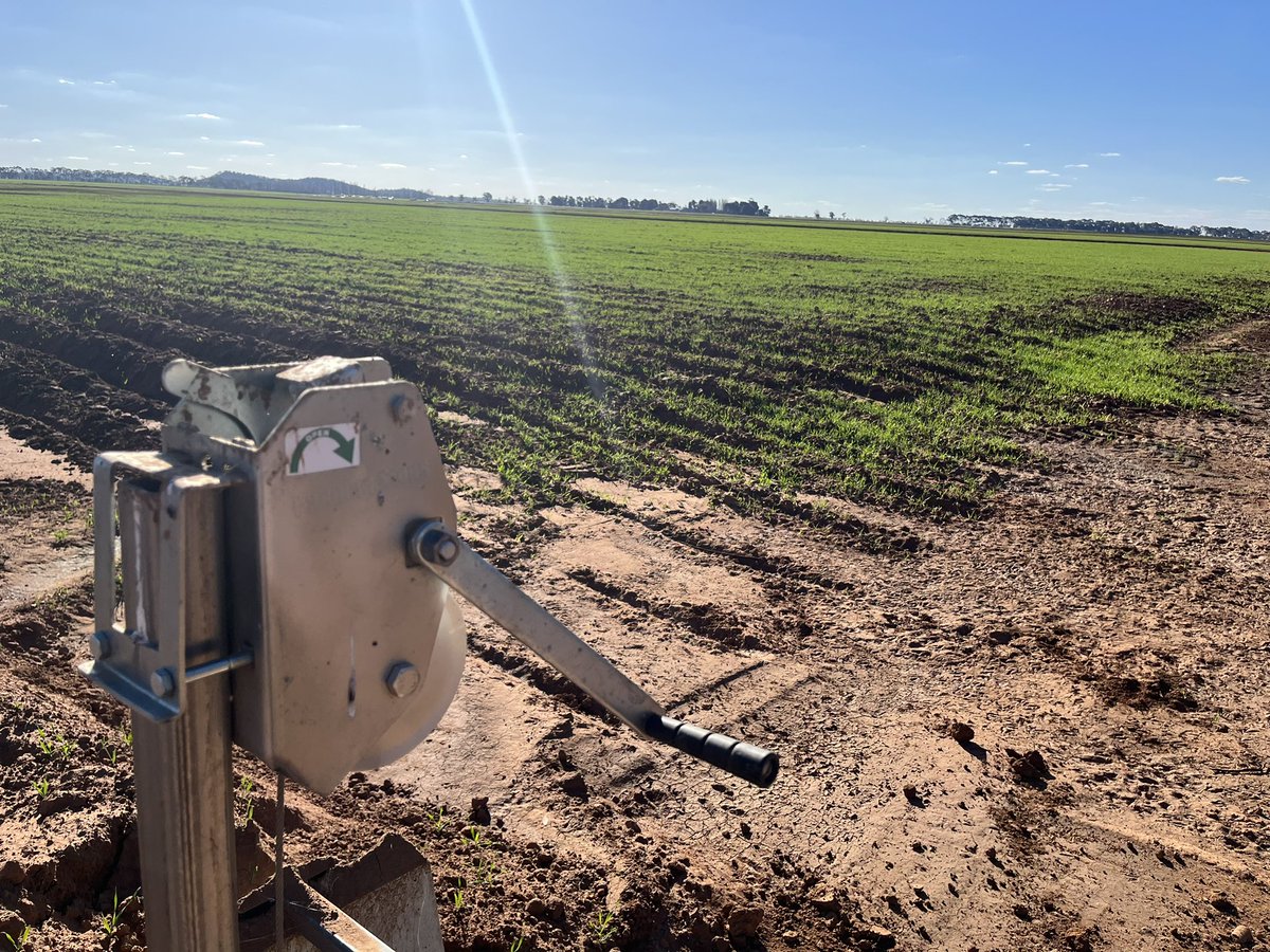 PadmanStops's tweet image. Shawn is currently on a farm tour in picturesque Northern NSW and Southern QLD, visiting our wonderful customers. Building strong relationships with our clients is a top priority! Shawn is on a mission to understand their needs better and ensure they're happy with our solutions.