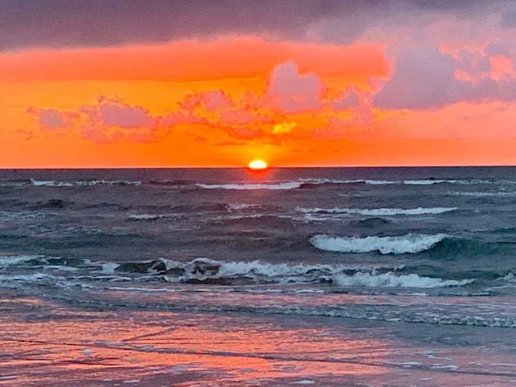 Gunda Brunotte (@gundaameland) on Twitter photo 