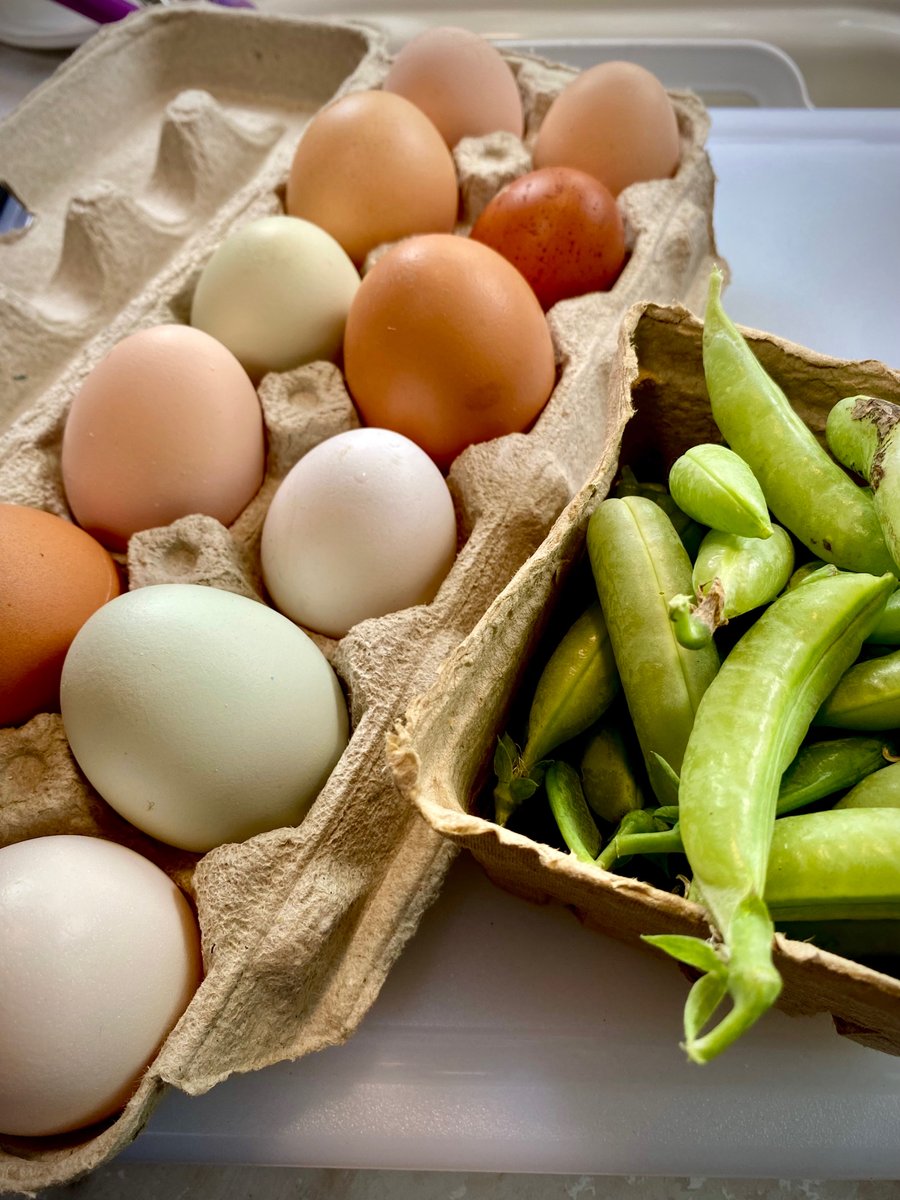 Harbourview_NL's tweet photo. We love local! ❤️ So many amazing businesses in the #CodroyValley.

Eggs &amp; peas from Tuckaway Farm, Apiary &amp; Apothecary

#SupportLocal #HarbourviewCornerBnB #Codroy #ExploreNL #GoWesternNL https://t.co/oikJ3CXmID