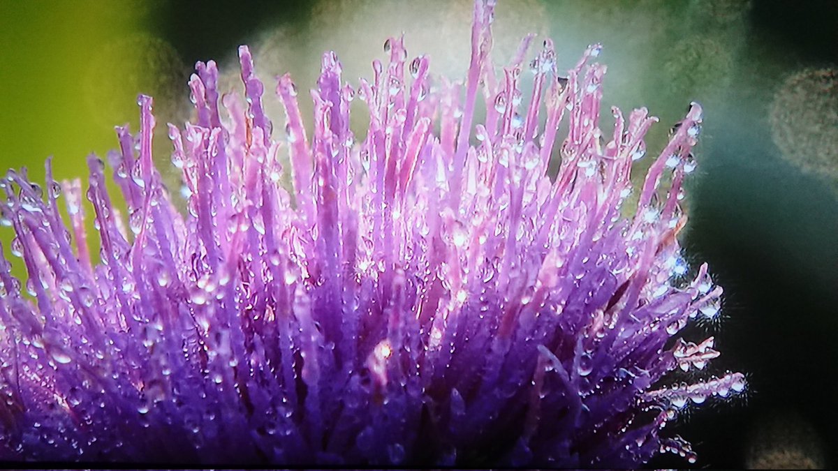 おはようございます🥰