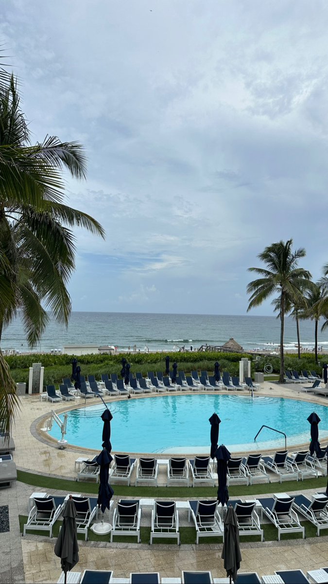 DeShayla Strachan tweet media