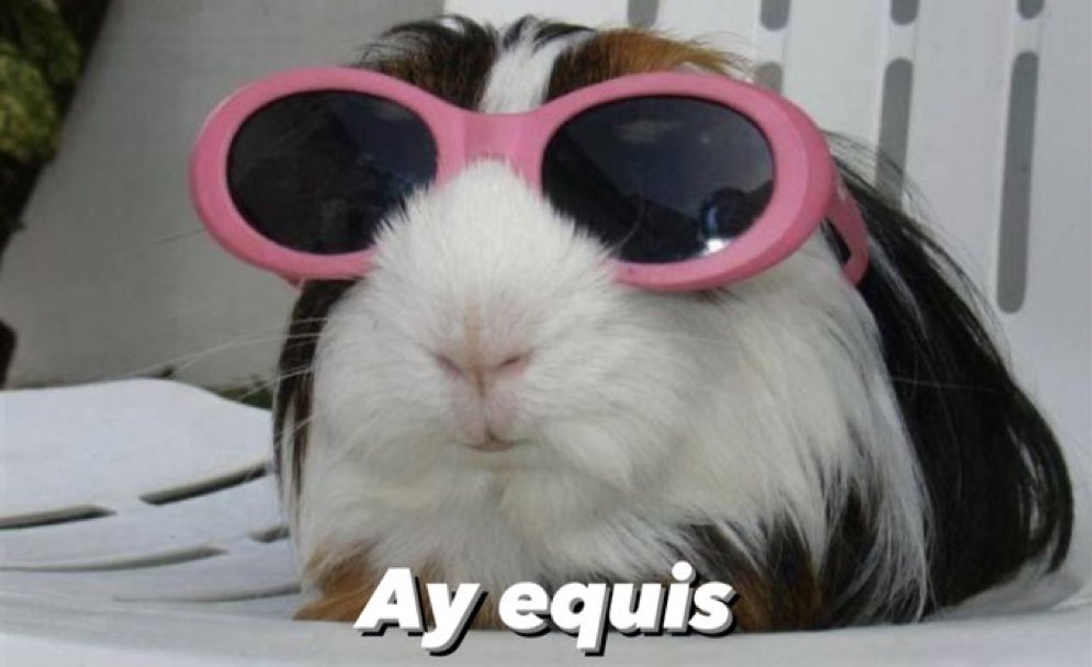 cornulda's tweet photo. yo tratando de ignorar todas mis desgracias https://t.co/lYc9vjaWeo