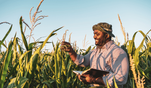 Become an agripreneur. Turn your farming passion into a profitable business. #Agripreneur #FarmingBusiness