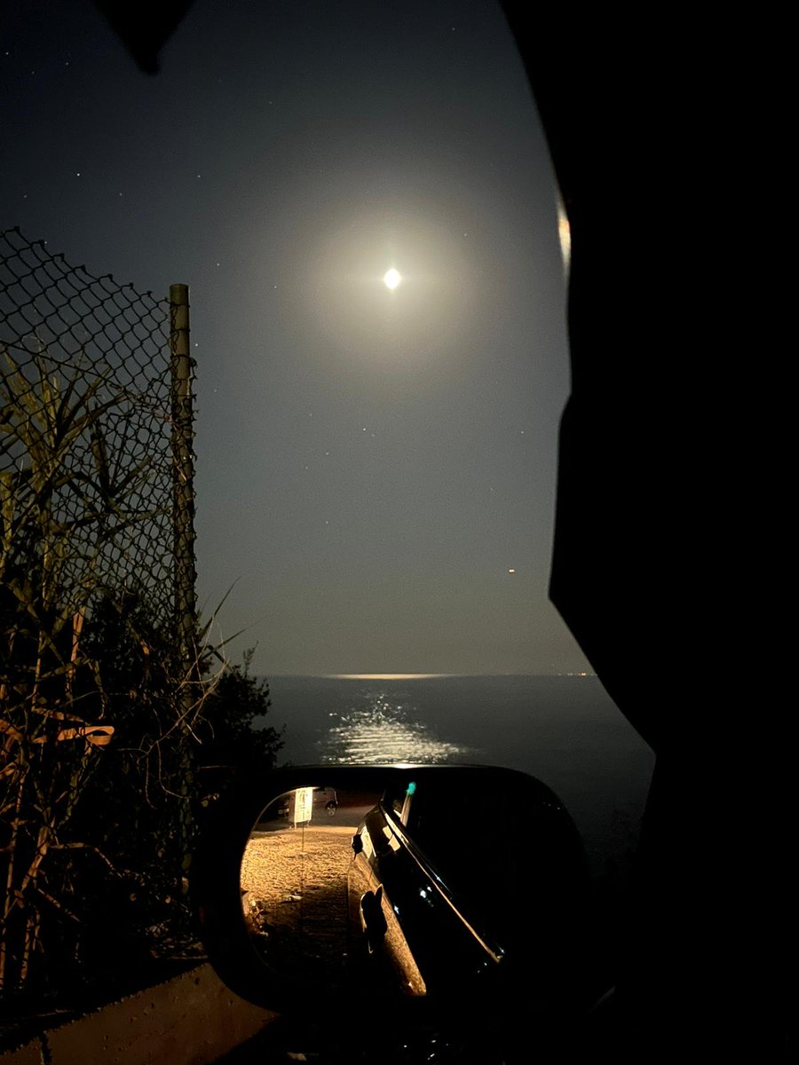 Öner (@oneronl) on Twitter photo 