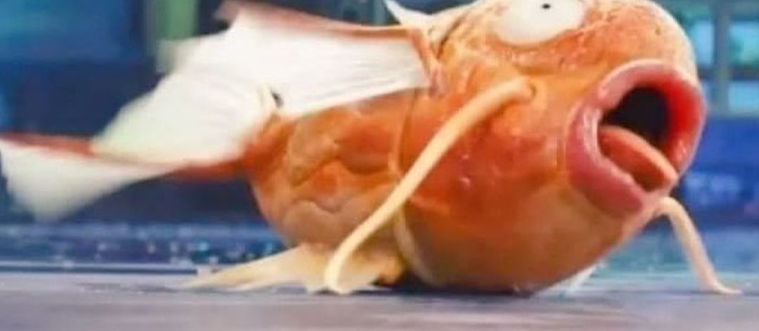 Nadie:
Yo ahogándome con mí propia saliva sin razón alguna: