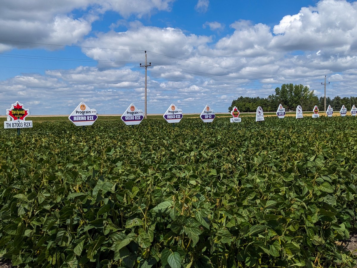 Come check out our plot featuring our top picks of both Xtend and IP soybean varieties. A continuation of the small plot research we’ve produced data from since 2016,.

Aug 2, 2023 5pm
Located 4km South of the jct of #83 &amp; 257 on the East side of the highway