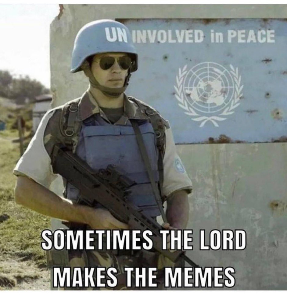 Paul Hookem tweet media