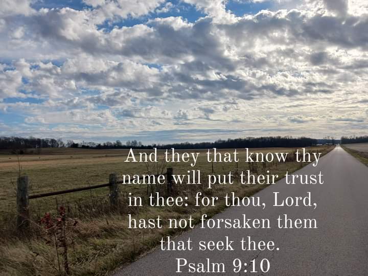 Tracy Killinger 🇺🇸 tweet media