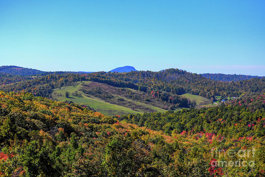 KerriFar's tweet image. Buffalo Mountain in Early Autumn ~ ow.ly/fFO650Pobcn ~ #FloydVA #VirginiaViews #NewRiverNature ~ ow.ly/g1N250Pobco - #AutumnViews #LoveVA