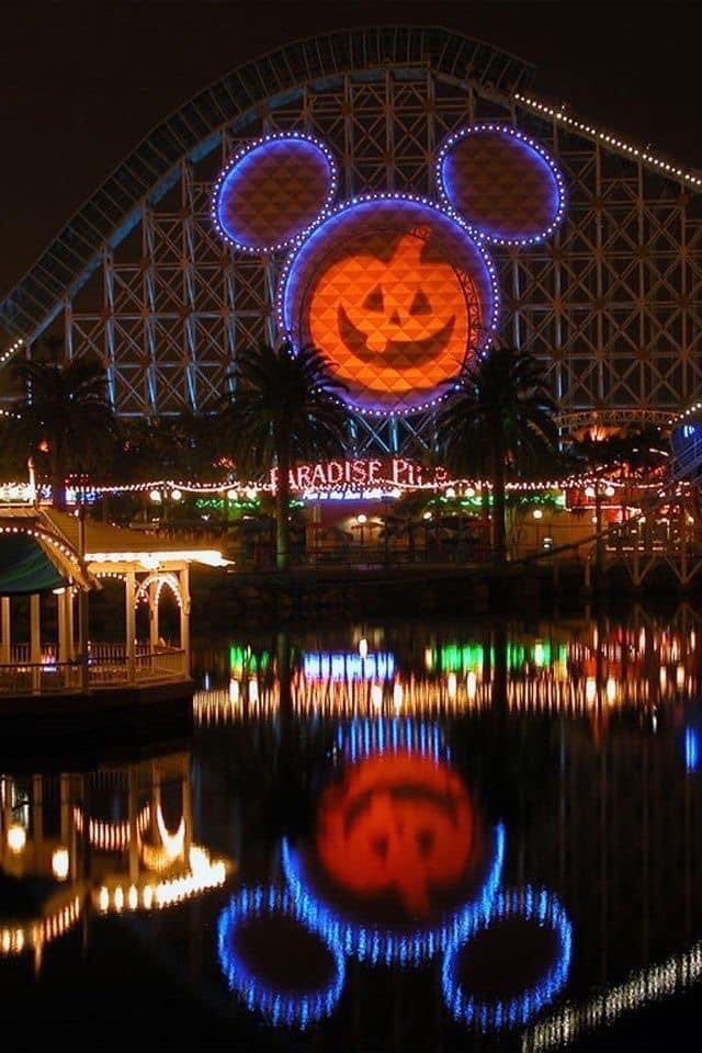 aperfectpumpkin's tweet photo. https://t.co/wzkT2tp79F