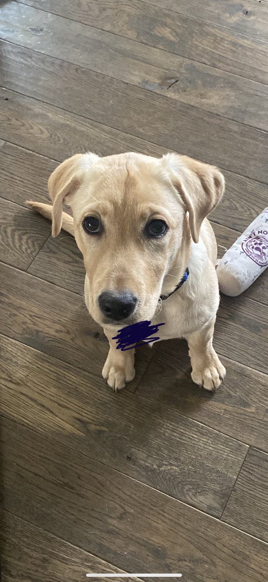 pals meetup, ft. shane looking like my 4 month old puppy.

this was such an awesome week and i’m so grateful to have been able to 
meet some of my closest friends in person and become even closer to them. y’all are wonderful :))) &lt;3