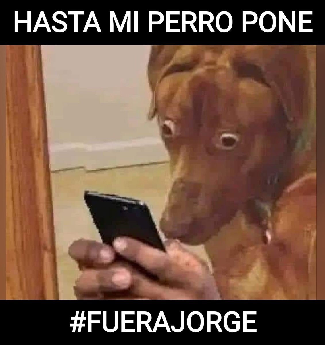 mirimlp's tweet photo. Jsjsjsjsjjaja #FueraJorge #FueraJorgeLosa 

#LaCasaDeLosFamososMx https://t.co/XgeRuF3ot8