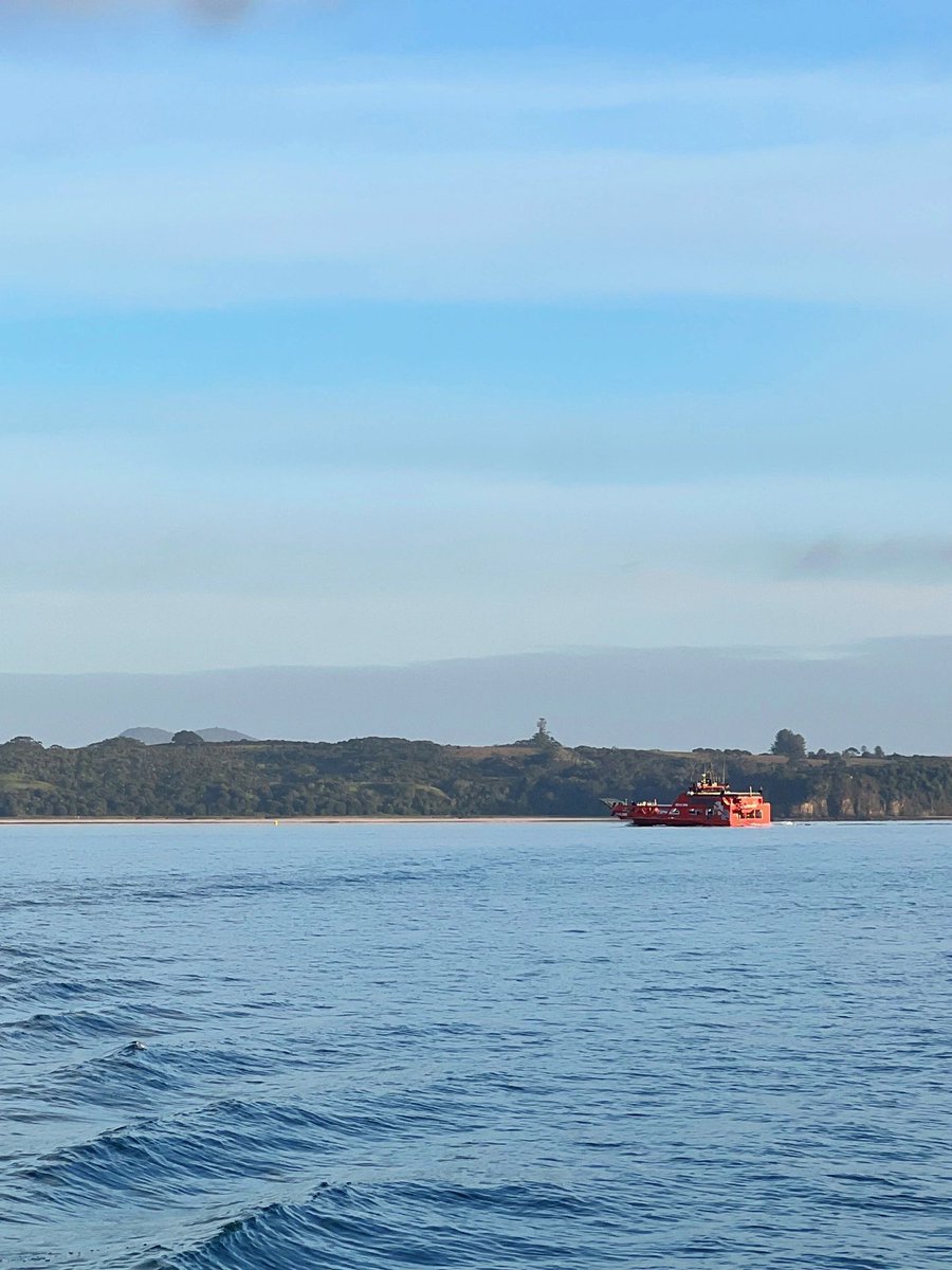 VeraaaYang's tweet image. Eating the fish you caught while remembering how much fun you had. The most satisfying thing in life is to be able to go and do what you like whenever you like. There is no need to worry about anything.

#Seafishing
#Hooks
#Fishinggear
#Fishfarming
#Fishingtournaments
#fishing