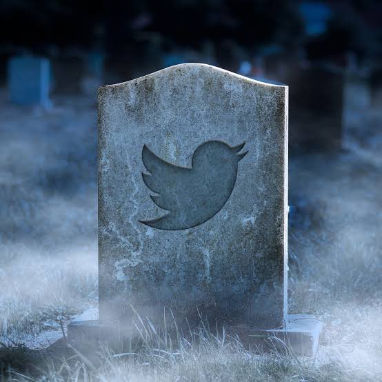 SouthernCazza1's tweet photo. Twitter's  first bird logo, “Larry the Bird” was named after NBA legend Larry Bird and adapted from an iStock image the company bought for $15 in the mid 2000s #bringbackthebird https://t.co/Ohi7zAqMzB