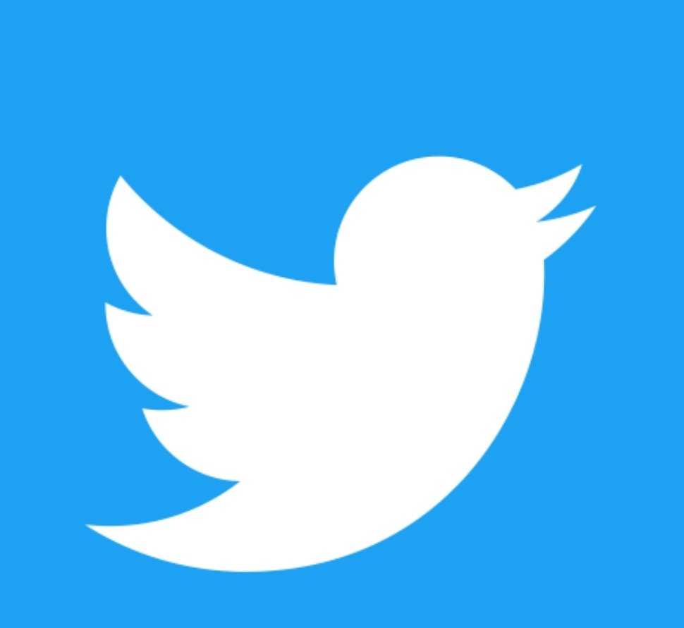 SouthernCazza1's tweet photo. Twitter's  first bird logo, “Larry the Bird” was named after NBA legend Larry Bird and adapted from an iStock image the company bought for $15 in the mid 2000s #bringbackthebird https://t.co/Ohi7zAqMzB