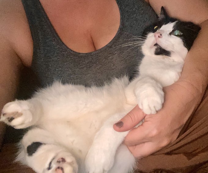 Taking a break with the little fatty. https://t.co/d8iisnFo8N<a href="/tag/jordancon"class="tags"><span>#jordancon</span></a><a href="/tag/jordancon2024"class="tags"><span>#jordancon2024</span></a>