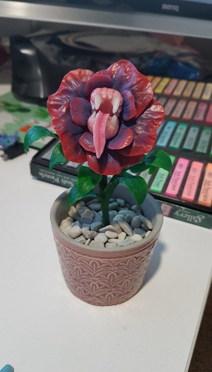 Слепила на пробу.
В инете такое называют зубоцвет, но это явно подвид кусачка или чота такое.
Пока она еще не проросла полностью! Приживется - вытянет корни :3