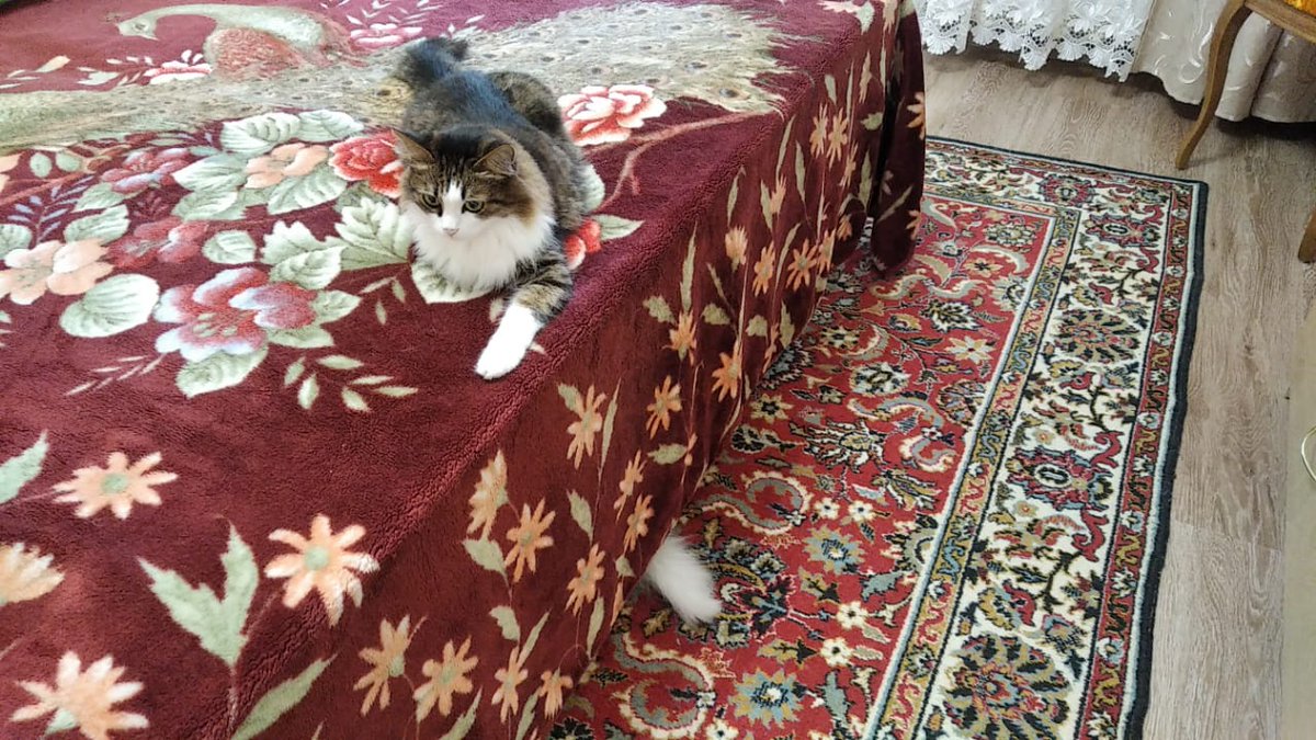 Кощька и подкроватный монстр