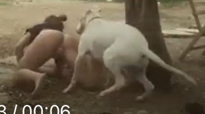 Lasix40mgIV's tweet photo. @Fun_Viral_Vids https://t.co/MdvlBePjIc