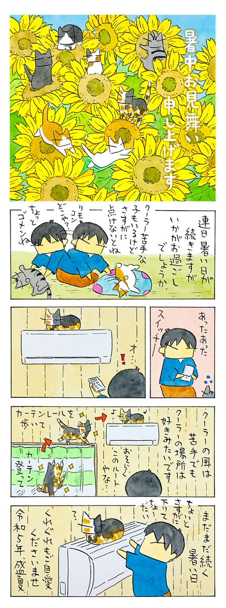 盛夏│フェリシモ猫部 