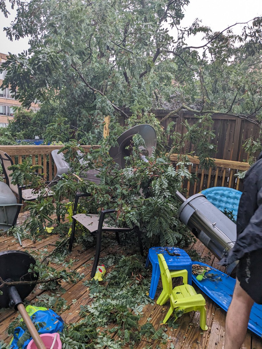 NoraFitzToiv's tweet photo. When your neighbor has refused for 4+ years to cut down her dead trees. @capitalweather @PoPville https://t.co/6Bi5Yrlefr