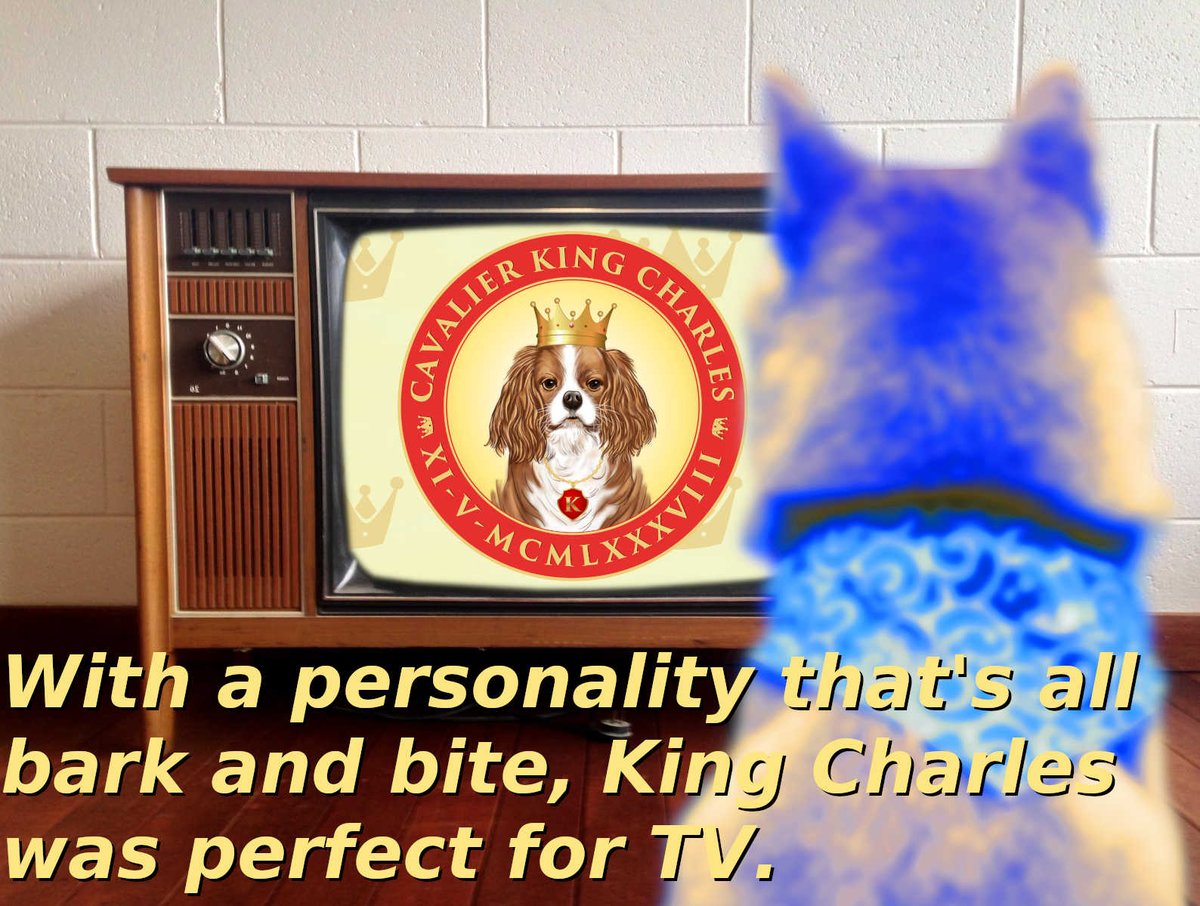 similiken 🪙🪙🪙 tweet media