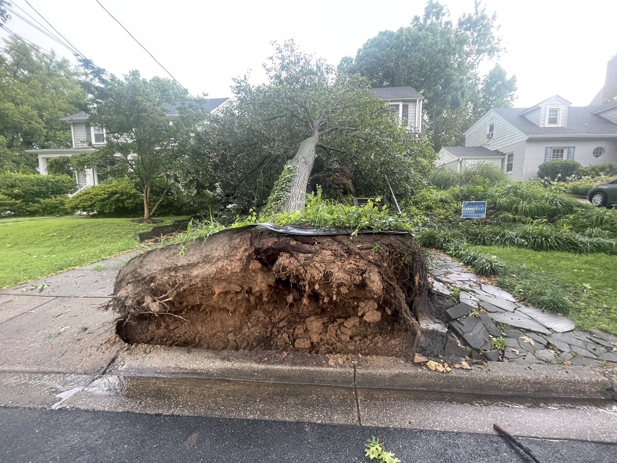 Mariana_Alfonso's tweet photo. When you are on vacation 5000 miles away and the neighbors send these pictures of your house…
Luckily we dodged a bullet. No damage to house and apparently no damage to car either.
#dcstorm #ClimateCrisis https://t.co/iT7bIQCgfO