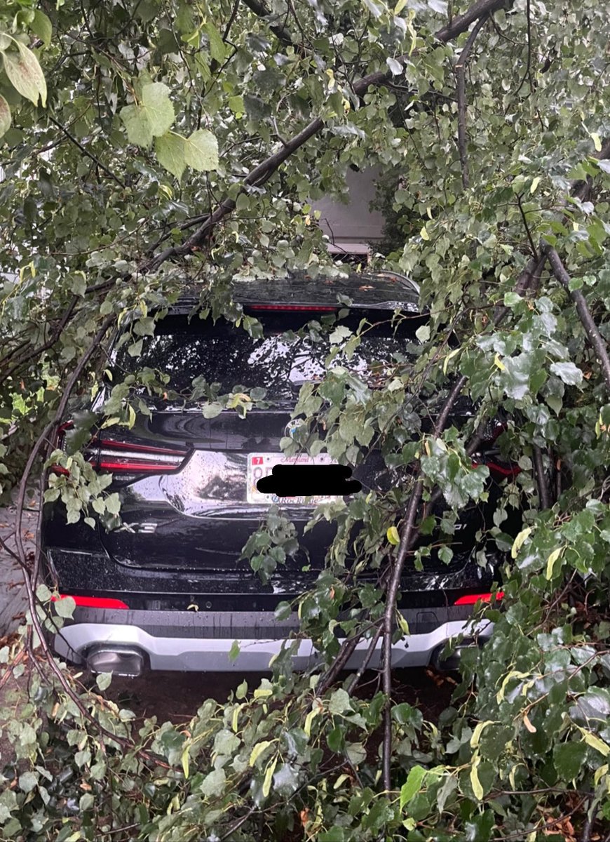 Mariana_Alfonso's tweet photo. When you are on vacation 5000 miles away and the neighbors send these pictures of your house…
Luckily we dodged a bullet. No damage to house and apparently no damage to car either.
#dcstorm #ClimateCrisis https://t.co/iT7bIQCgfO