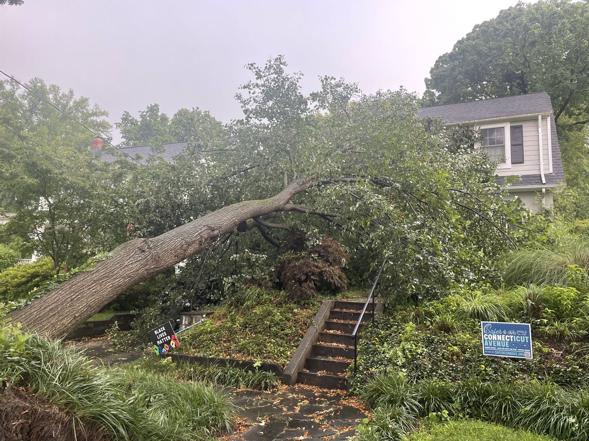 Mariana_Alfonso's tweet photo. When you are on vacation 5000 miles away and the neighbors send these pictures of your house…
Luckily we dodged a bullet. No damage to house and apparently no damage to car either.
#dcstorm #ClimateCrisis https://t.co/iT7bIQCgfO