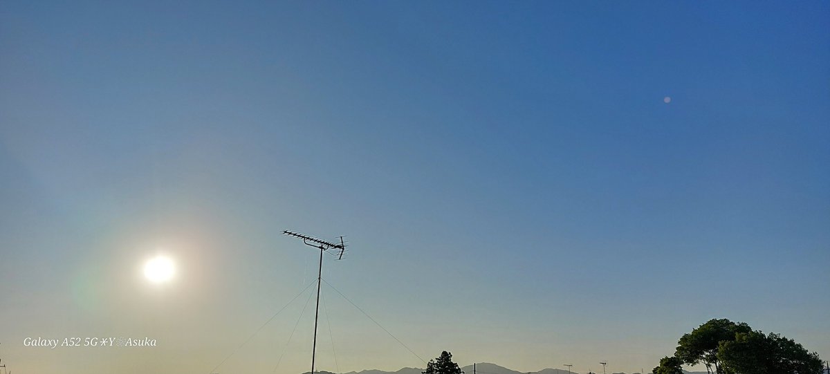 yumeasutw's tweet photo. #青空 にお日様燦々✨少し涼しい日曜日の早朝☀️
夏のピエールは小振りで可愛らしい🌹
予想最高/最低気温🌡️37℃/23℃
晴れ☀️
午後は南風が吹き厳しい暑さに🌬️😵💦熱帯夜となりそう♨️
#ピエール・ド・ロンサール 🌹
#薔薇 #バラ #Rose
#庭花 #花 #Flower
#空の名前
#天気の図鑑
#a2023 #a0730 #a202307 https://t.co/lyI0RBgIME