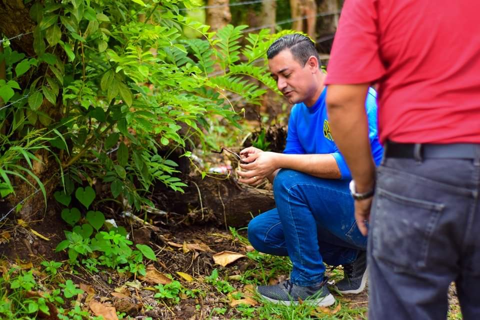 FelipeInteriano's tweet photo. 2) 🧵 que se estaba dañando por las lluvias, ver la iniciativa de los habitantes y el liderazgo que hay en la zona me motiva a sumarme y poder ayudar. 👊🏻😎

#piedrasazules #territoriofelipeinteriano https://t.co/tpO7ji1zEK