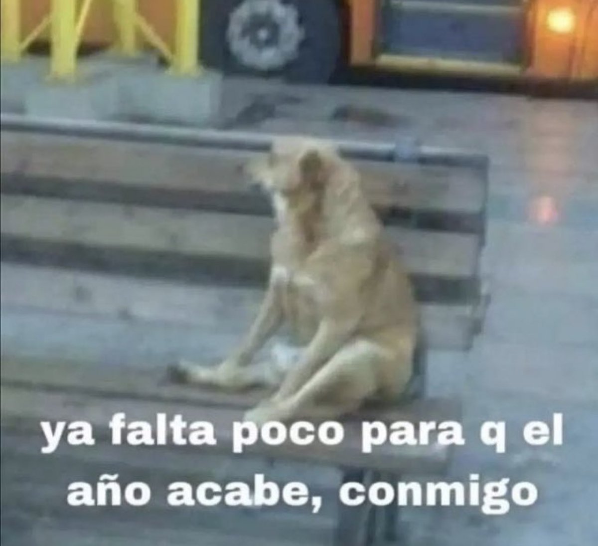skereunpesado's tweet photo. a mimir https://t.co/ngVroMvnRK