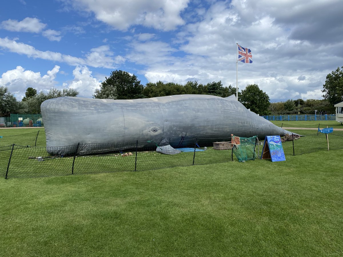 circorumbaba's tweet photo. Whaling on the sunny Lincolnshire coast today. Happy holiday park families inside for the shows ☺️@Holivans #Maplethorpe https://t.co/TJlqxLXe2k