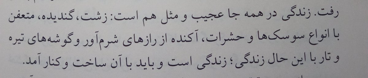 ___SajjaD's tweet photo. (خرمگس) https://t.co/Y1t6NEug4I