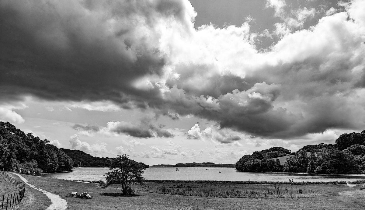 Anthony Hatter 🇺🇦 tweet media