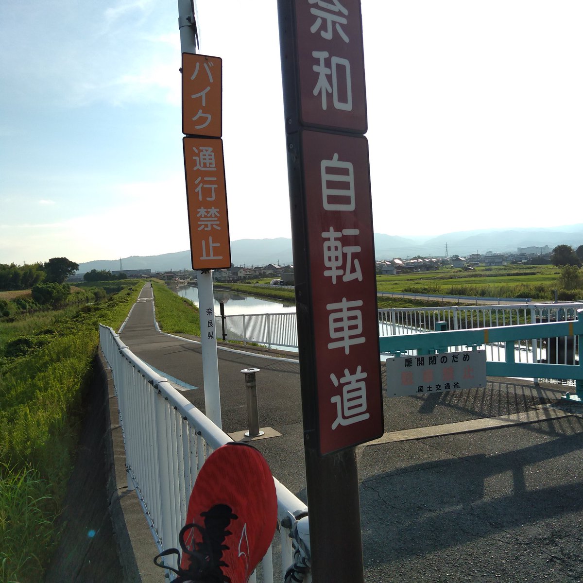 ひっさしぶりの朝活中。真夏の朝日のパワーよ(ﾟﾛﾟ)