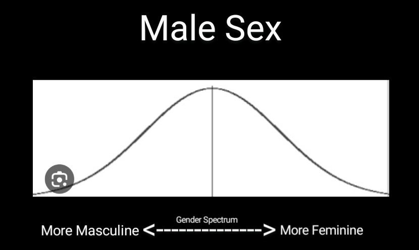 Rob_ThaBuilder's tweet photo. This idiocy of "sex as a spectrum" needs to end. The proper framework to think of sex/gender in a way that comports both with biological reality and lived experience is this:

• Sex itself not a spectrum, it's a biologically immutable binary. You are either male or female, period, there simply is no in between.

"BuT hOw dO YoU DeFiNe sEx?" The idiots say, pretending like this isn't extremely well established science. You see, there are several markers for determining sex, each one highly accurate. By using just two - chromosomes and gamete production - we can determine the sex of any human with close to 100% accuracy. This is why any qualified lab can determine the sex of an individual using just a blood sample or cheek swab; our sex is imprinted in the DNA of every cell in our body.

"BuT InTeRsEx PpL eXiS...."  I'm gonna me stop you right there. Intersex ppl (more appropriately known as ppl with DSD's) all exist within the sex binary. Some DSD's only affect males,  others only affect females, but all exist WITHIN the sex binary.

• Gender (which we can define as a collection of socially constructed sex-based stereotypes) on the other hand, IS a spectrum, but it too exists within the sex binary. 

In other words, sex/gender doesn't exist on *A* spectrum, it exists on two separate and distinct spectrums that do not overlap. This understanding of the sex/gender binary spectrums comports well within the established scientific understanding of biological sex, while also allowing for the incredible variance within each sex binary that we see in the world around us.

Take males, for instance: you can be any type of male. You can be an extremely masculine male, an extremely feminine male, or anything in between. You can wear a dress, pants, or nothing. You can identify as a man, a woman, or a jar of mayonnaise, but you will always be a male. If you are an adult on the male spectrum, the vast majority of society will see you as what we colloquially call "a man", regardless of how you prefer to think of yourself.

And thank God for that variance within the binary. How boring would the world be if we were all the same? But it's entirely possible to both value diversity within our species while still observing objective reality. I would say it's crucial even. A society that gaslights and lies to itself about easily observable reality is a disaesed one, and is only setting itself for catastrophic failure somewhere down the line.

Thanks for coming to my TED talk