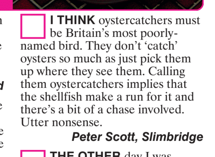 Viz Comic tweet media